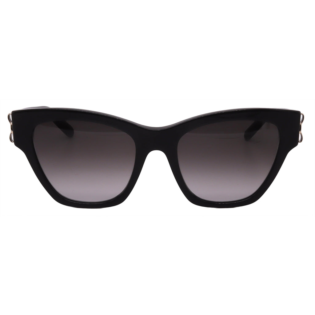 Salvatore Ferragamo Sunglasses SF1010S-001-53-19-140 Non-Polarized FrameVault