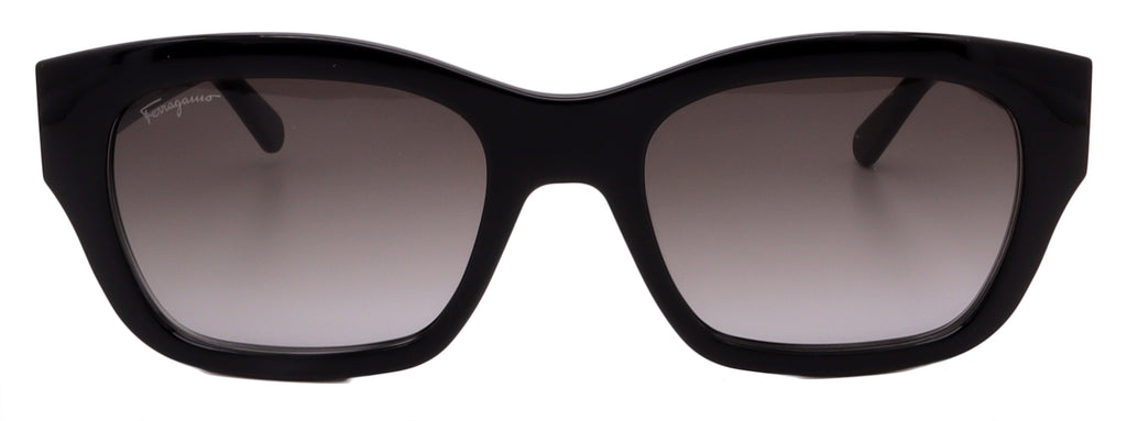 Salvatore Ferragamo Sunglasses SF1012S-001-53-19-140 Non-Polarized FrameVault