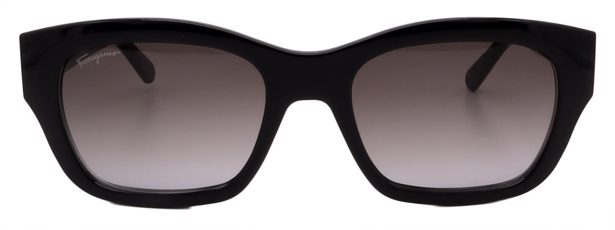 Salvatore Ferragamo Sunglasses SF1012S-001-53-19-140 Non-Polarized FrameVault
