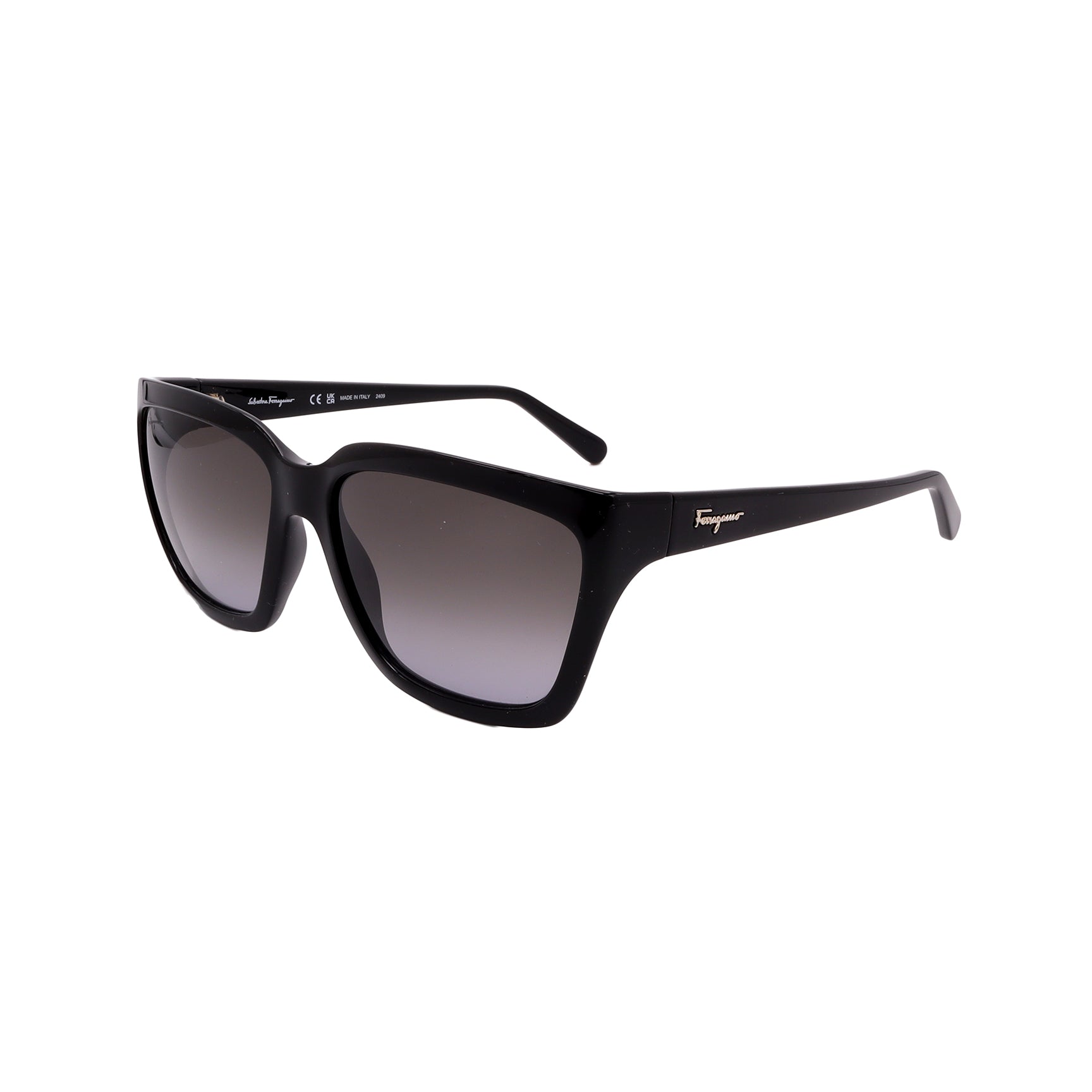 Salvatore Ferragamo Sunglasses SF1018S-001-59-17-140 Non-Polarized FrameVault