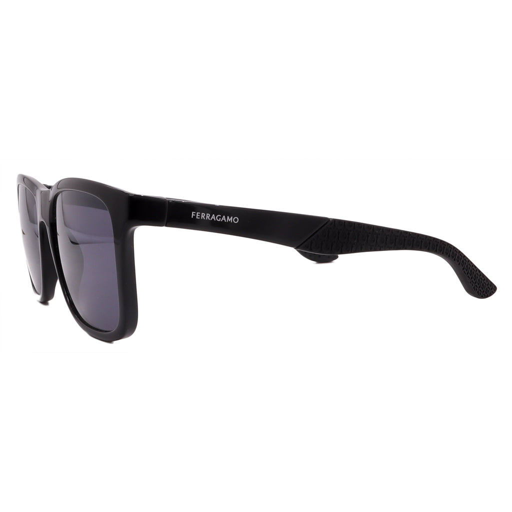 Salvatore Ferragamo Sunglasses SF1028SN-001-56-18-150 Non-Polarized FrameVault