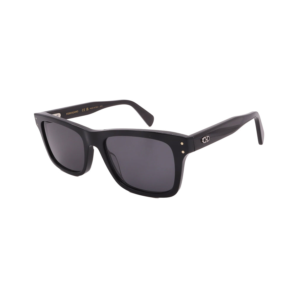 Salvatore Ferragamo Sunglasses SF1039S-001-54-18-150 Non-Polarized FrameVault
