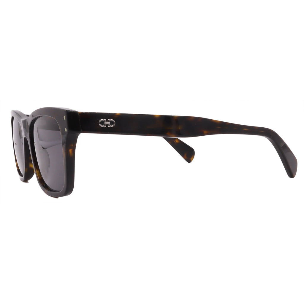 Salvatore Ferragamo Sunglasses SF1039S-240-54-18-150 Non-Polarized FrameVault
