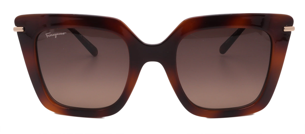 Salvatore Ferragamo Sunglasses SF1041S-238-51-22-145 Non-Polarized FrameVault