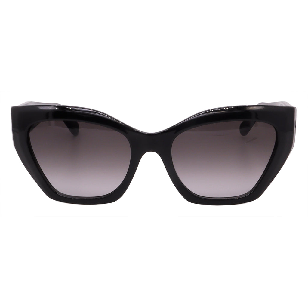 Salvatore Ferragamo Sunglasses SF1043S-001-54-18-145 Non-Polarized FrameVault