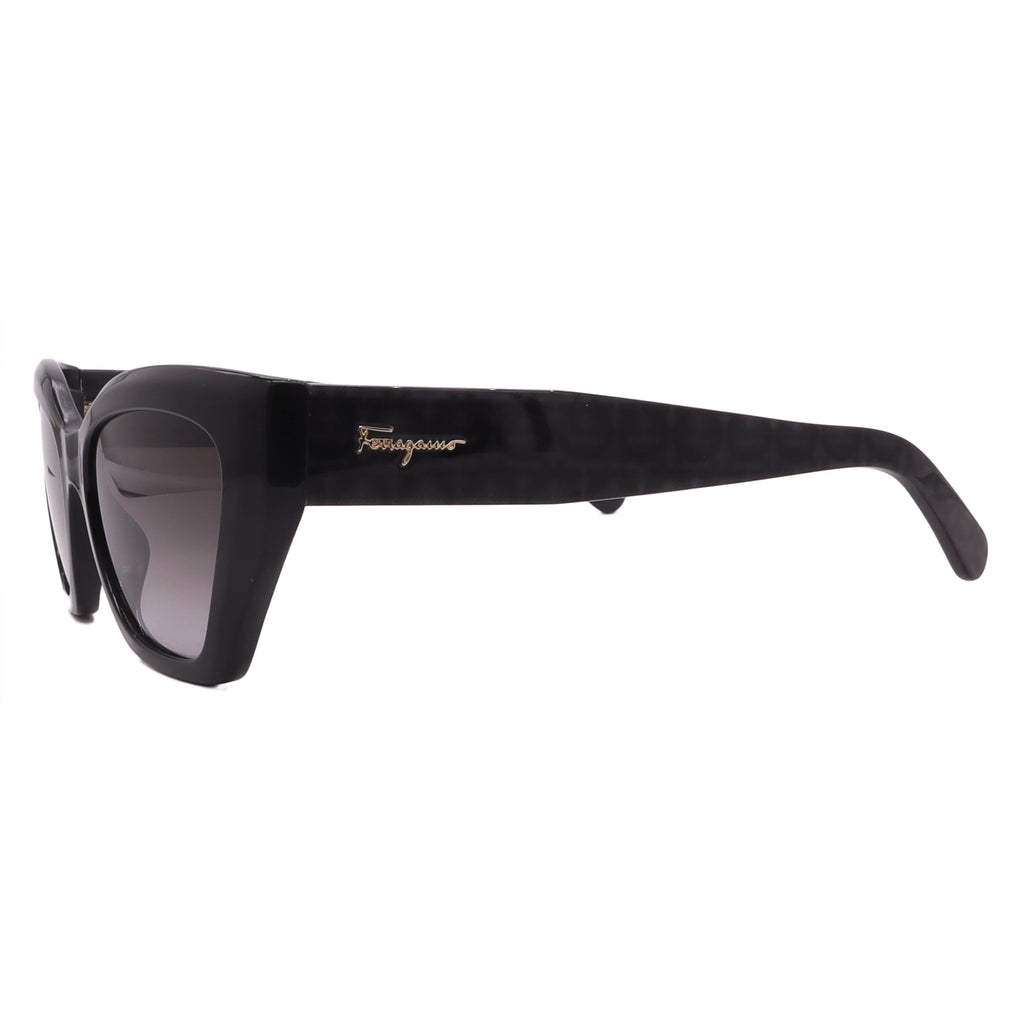Salvatore Ferragamo Sunglasses SF1043S-001-54-18-145 Non-Polarized FrameVault