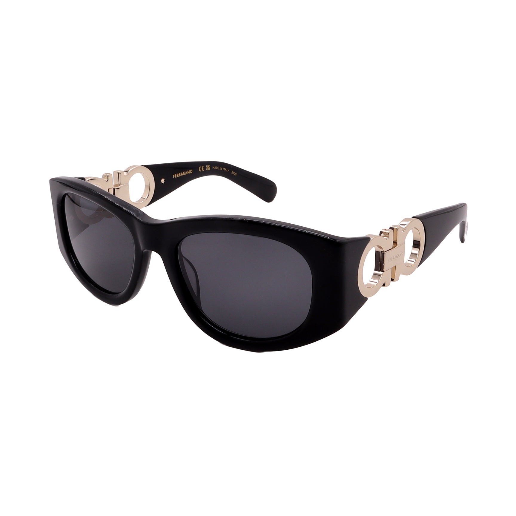 Salvatore Ferragamo Sunglasses SF1082SN-001-53-19-120 Non-Polarized FrameVault