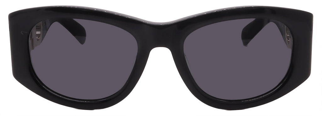 Salvatore Ferragamo Sunglasses SF1082SN-001-53-19-120 Non-Polarized FrameVault