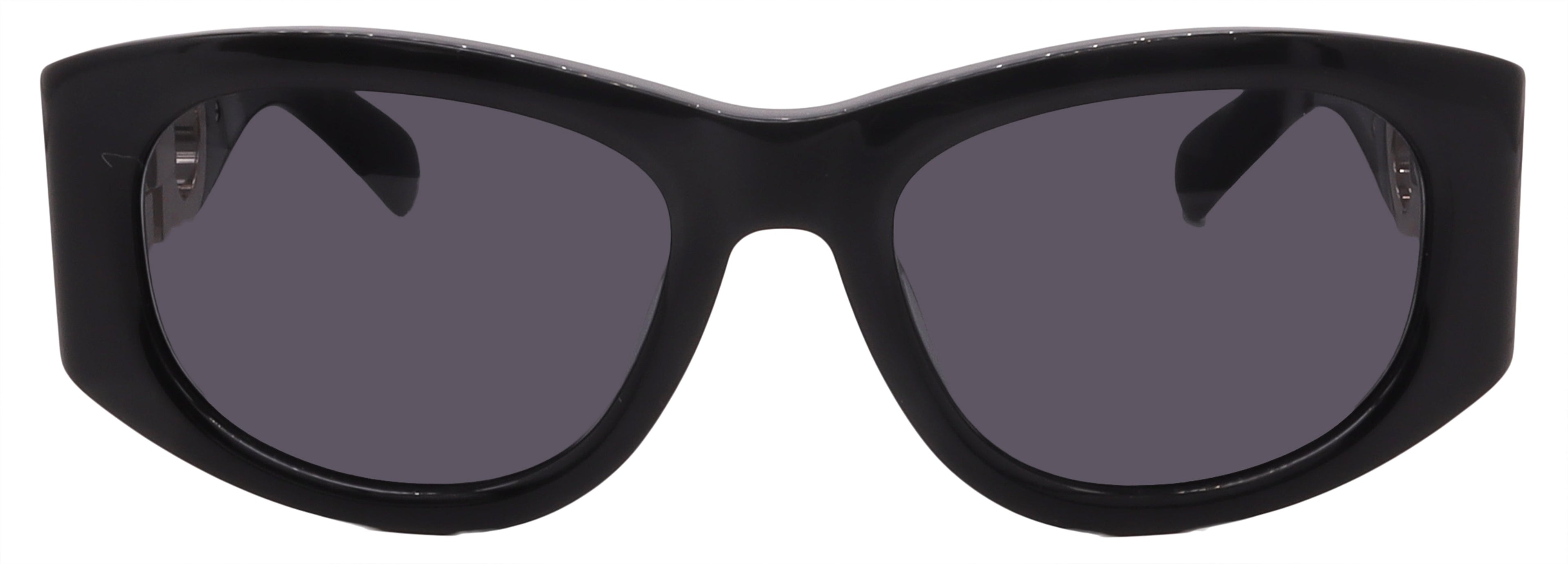 Salvatore Ferragamo Sunglasses SF1082SN-001-53-19-120 Non-Polarized FrameVault