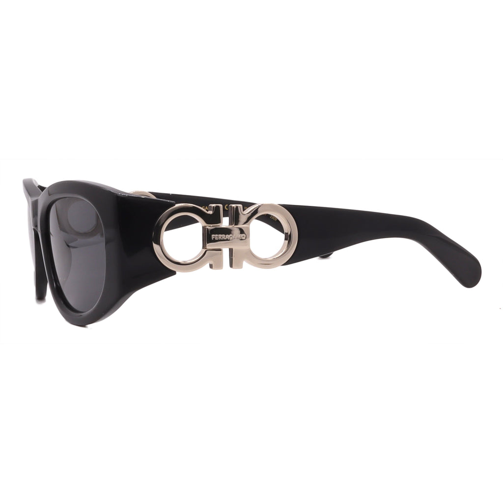 Salvatore Ferragamo Sunglasses SF1082SN-001-53-19-120 Non-Polarized FrameVault