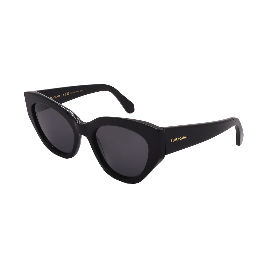 Salvatore Ferragamo Sunglasses SF1107S-001-55-20-140 Non-Polarized FrameVault