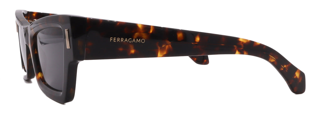 Salvatore Ferragamo Sunglasses SF2006S-242-53-23-140 Non-Polarized FrameVault