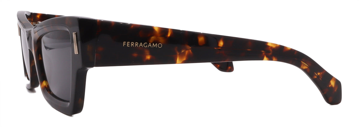 Salvatore Ferragamo Sunglasses SF2006S-242-53-23-140 Non-Polarized FrameVault