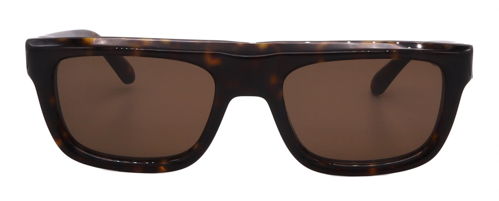 Salvatore Ferragamo Sunglasses SF2009S-242-56-21-145 Non-Polarized FrameVault
