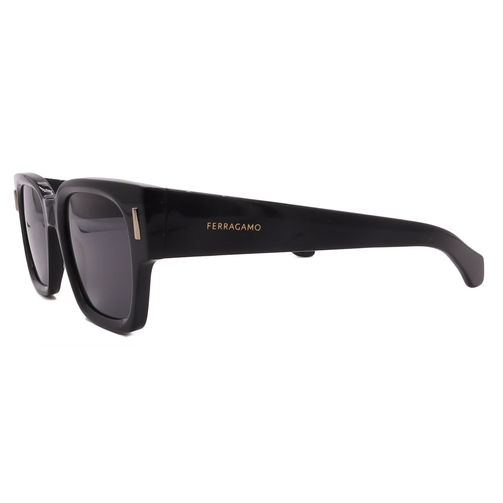 Salvatore Ferragamo Sunglasses SF2010S-001-52-21-145 Non-Polarized FrameVault