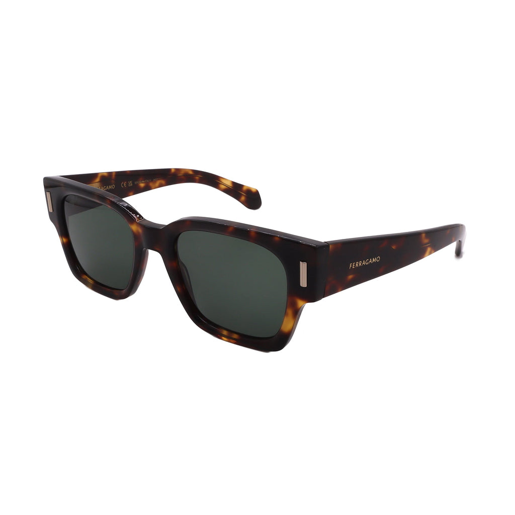 Salvatore Ferragamo Sunglasses SF2010S-242-52-21-145 Non-Polarized FrameVault