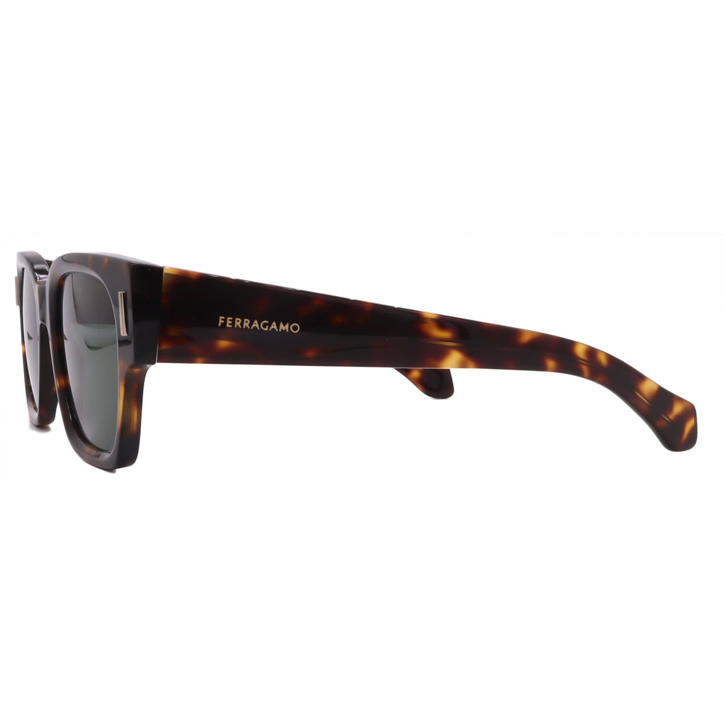 Salvatore Ferragamo Sunglasses SF2010S-242-52-21-145 Non-Polarized FrameVault