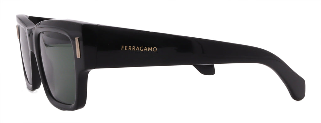 Salvatore Ferragamo Sunglasses SF2011S-001-53-21-140 Non-Polarized FrameVault