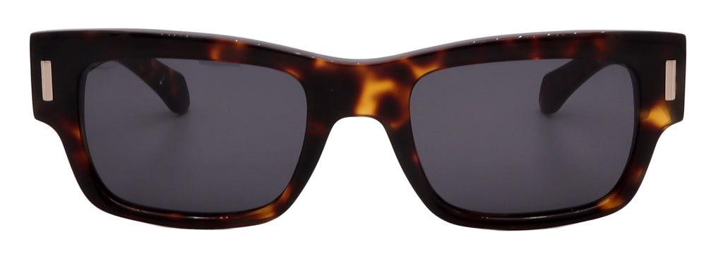 Salvatore Ferragamo Sunglasses SF2011S-242-53-21-140 Non-Polarized FrameVault