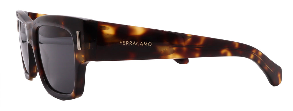 Salvatore Ferragamo Sunglasses SF2011S-242-53-21-140 Non-Polarized FrameVault