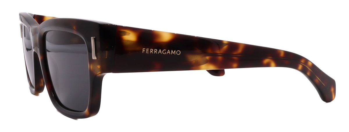Salvatore Ferragamo Sunglasses SF2011S-242-53-21-140 Non-Polarized FrameVault