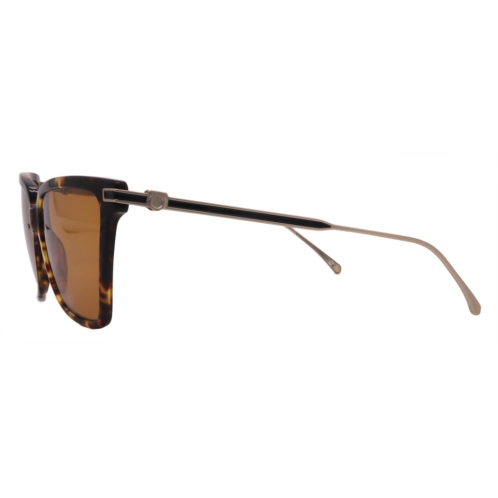 Salvatore Ferragamo Sunglasses SF2036S-242-56-16-140 Non-Polarized FrameVault