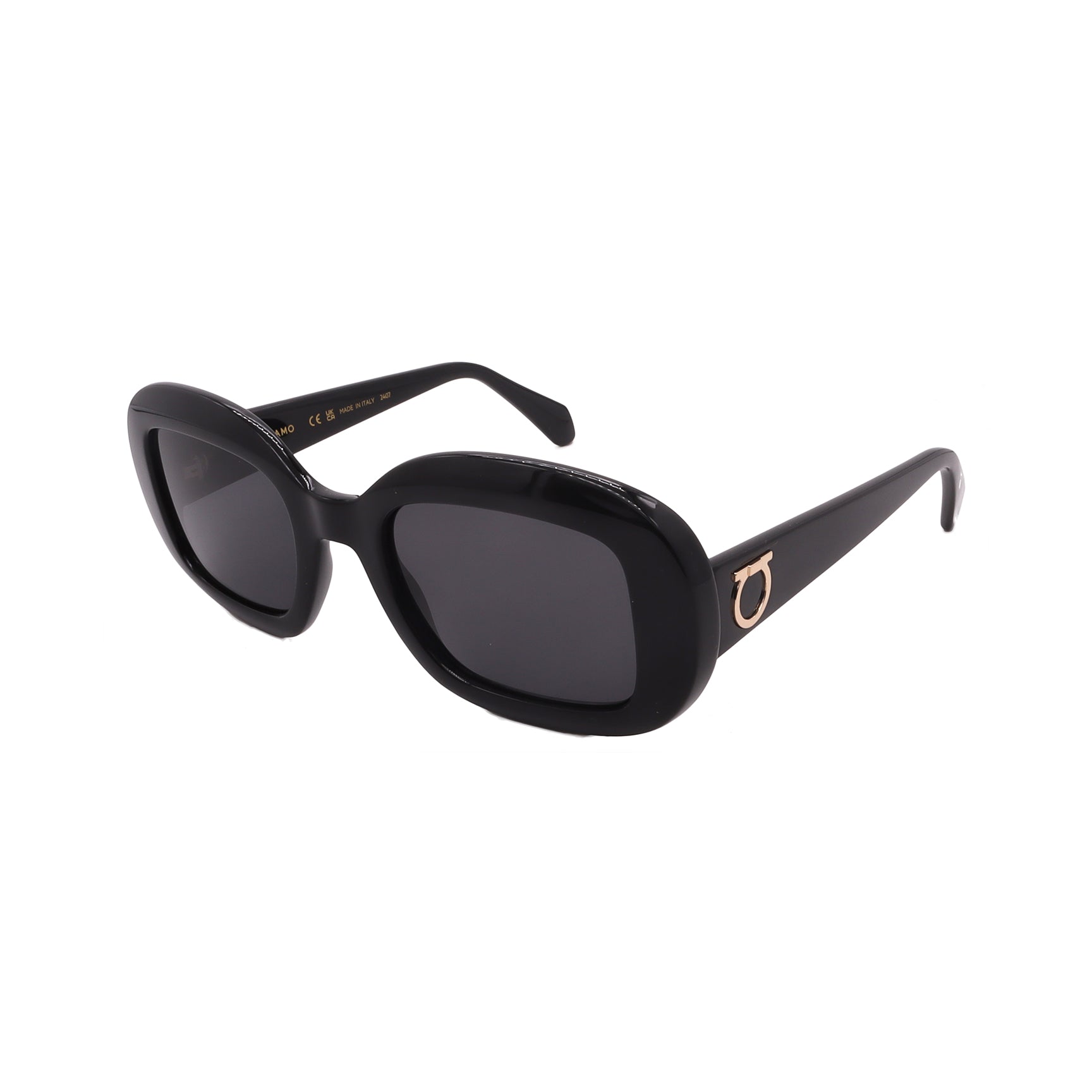 Salvatore Ferragamo Sunglasses SF2038SE-001-51-22-140 Non-Polarized FrameVault