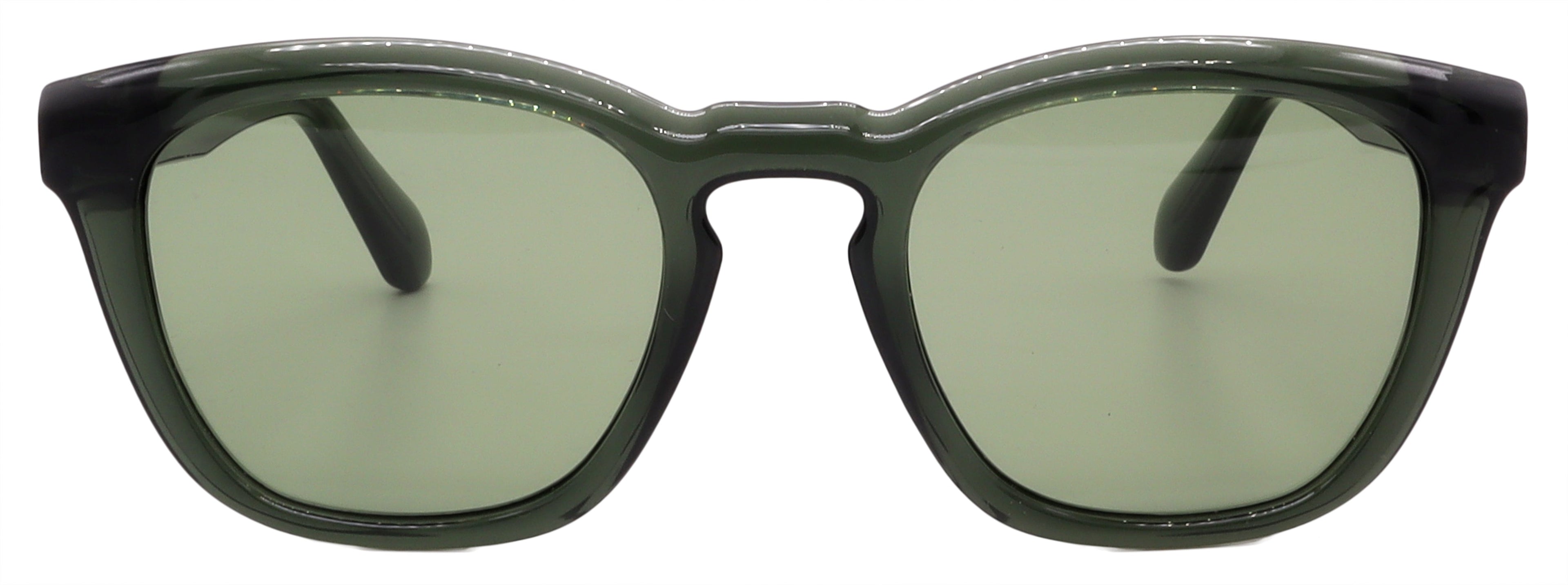 Salvatore Ferragamo Sunglasses SF2040SE-320-50-21-145 Non-Polarized FrameVault