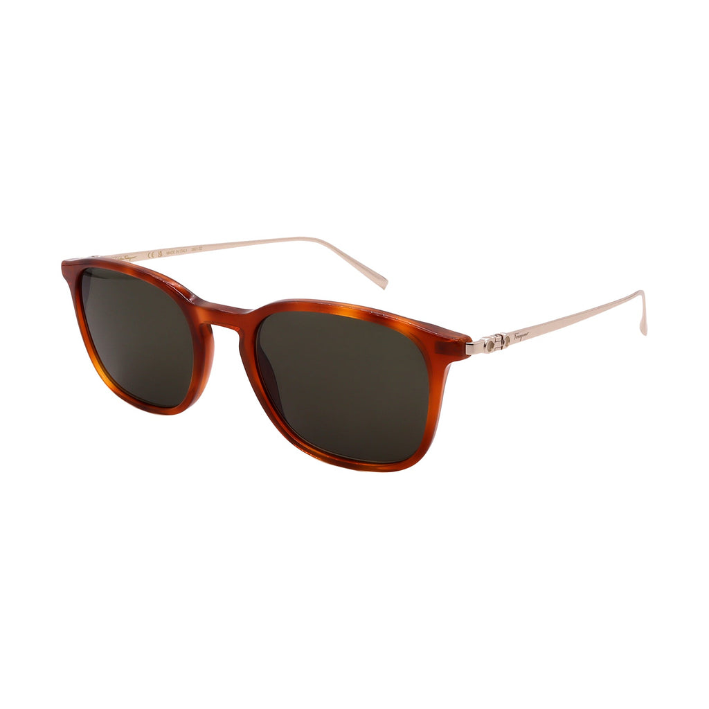 Salvatore Ferragamo Sunglasses SF2846SCP-212-53-20-145 Non-Polarized FrameVault