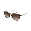 Salvatore Ferragamo Sunglasses SF2846SCP-219-53-20-145 Non-Polarized FrameVault