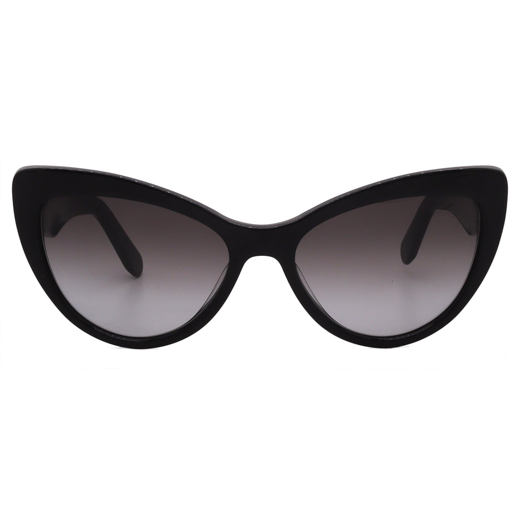 Salvatore Ferragamo Sunglasses SF930S-001-56-17-145 Non-Polarized FrameVault