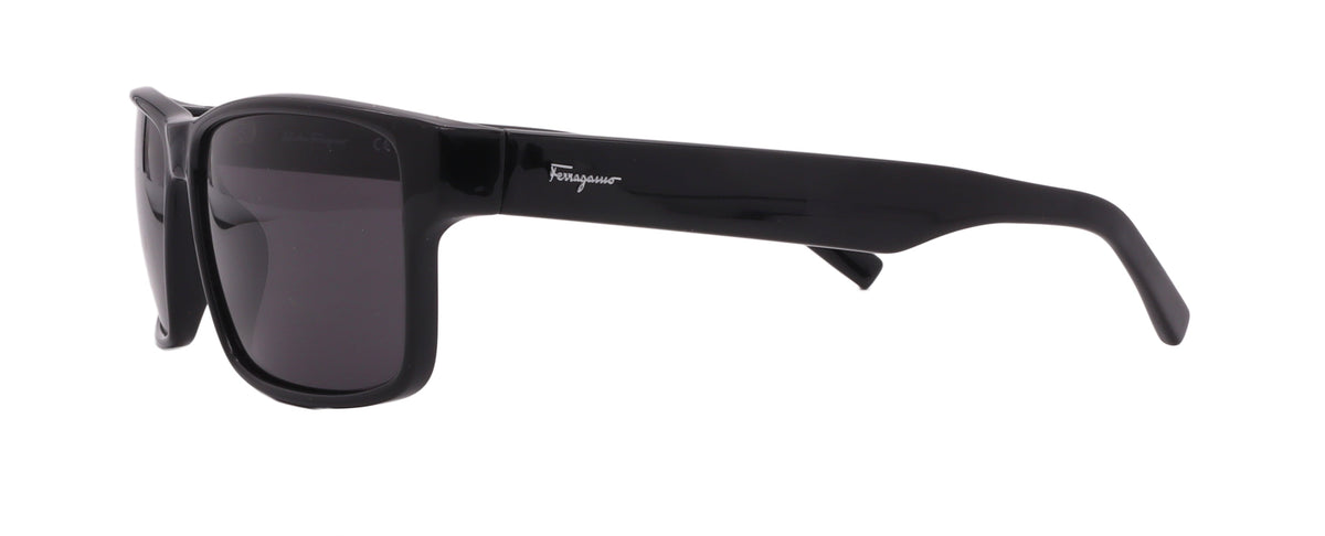 Salvatore Ferragamo Sunglasses SF960S-001-58-15-140 Non-Polarized FrameVault
