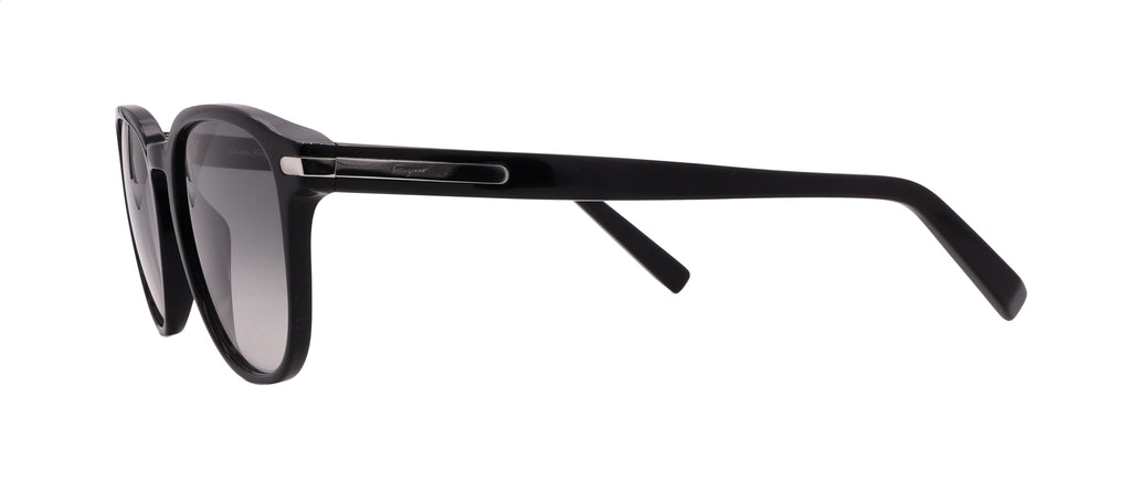 Salvatore Ferragamo Sunglasses SF993S-001-53-19-150 Non-Polarized FrameVault
