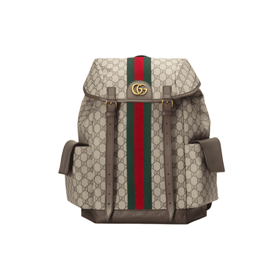 Gucci Ophidia GG Medium Backpack Banlieue91