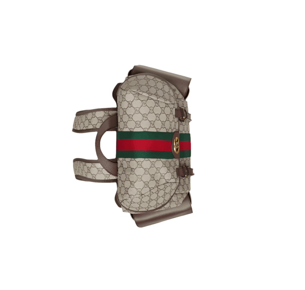 Gucci Ophidia GG Medium Backpack Banlieue91