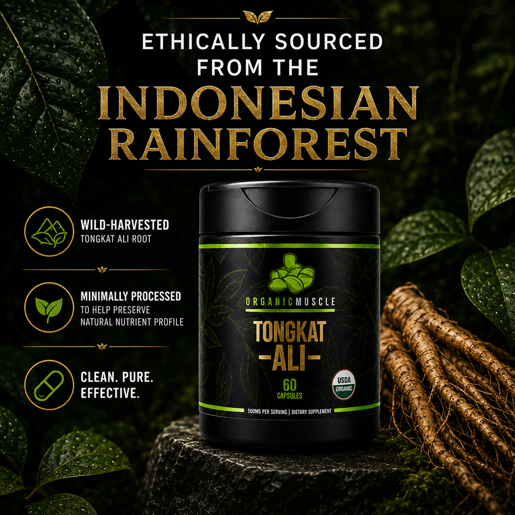 Tongkat Ali Organic Muscle Fitness Supplements