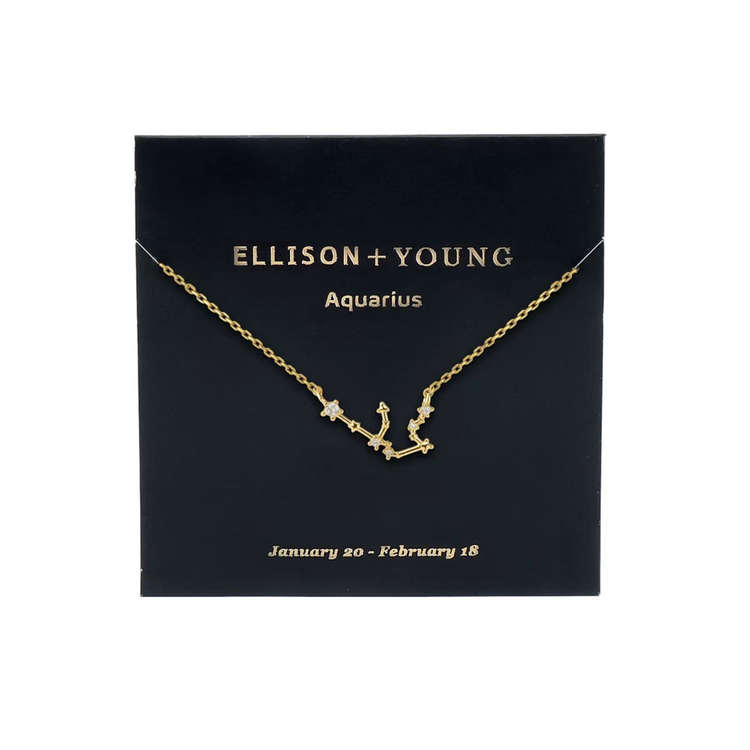 Zodiac Collection Necklace