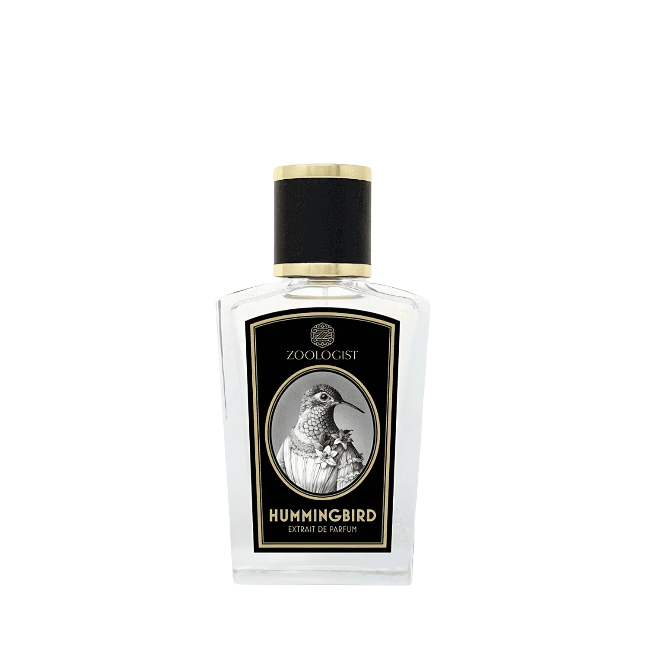 Zoologist Hummingbird Deluxe Bottle Mystic Store