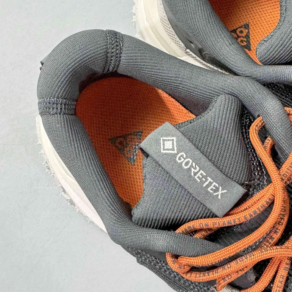 Nike ACG Mountain Fly 2 Low Gore-Tex 'Dark Smoke Grey' Banlieue91