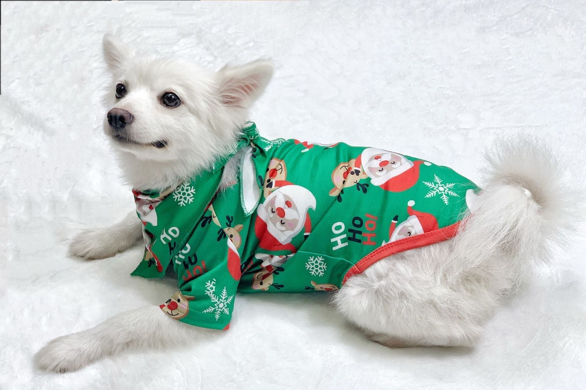 Family Matching Christmas Pajamas Santa Claus & Sleepwear for Family FitiqueFit