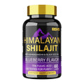 Blueberry Himalayan Shilajit Gummies 60 Count