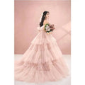 Blush Tiered Photography Pettiskirt Colored Mesh Dress