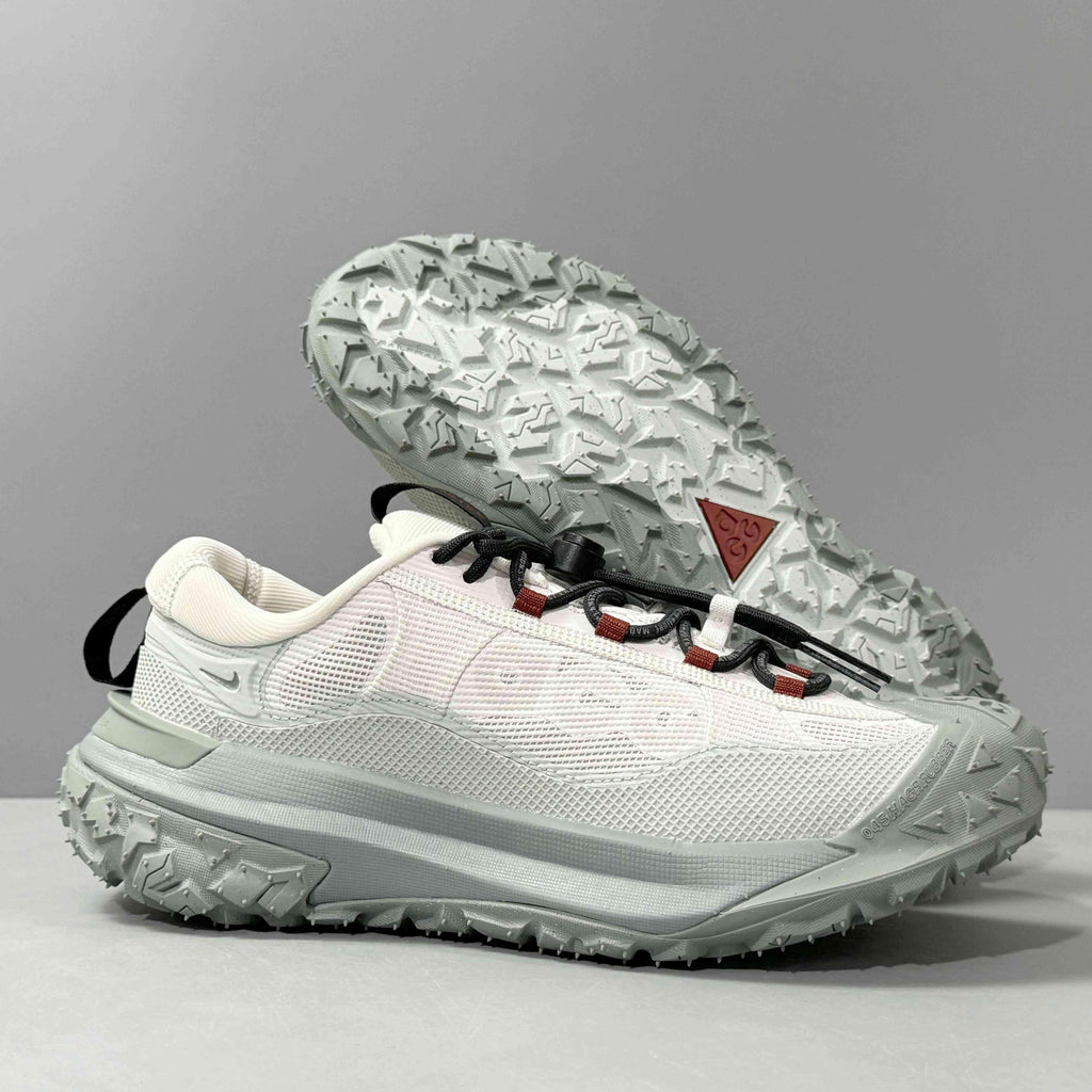Nike ACG Mountain Fly 2 Low Gore-Tex 'Phantom Light Silver' Banlieue91