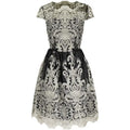 Elegant Lace Retro Mesh Dress