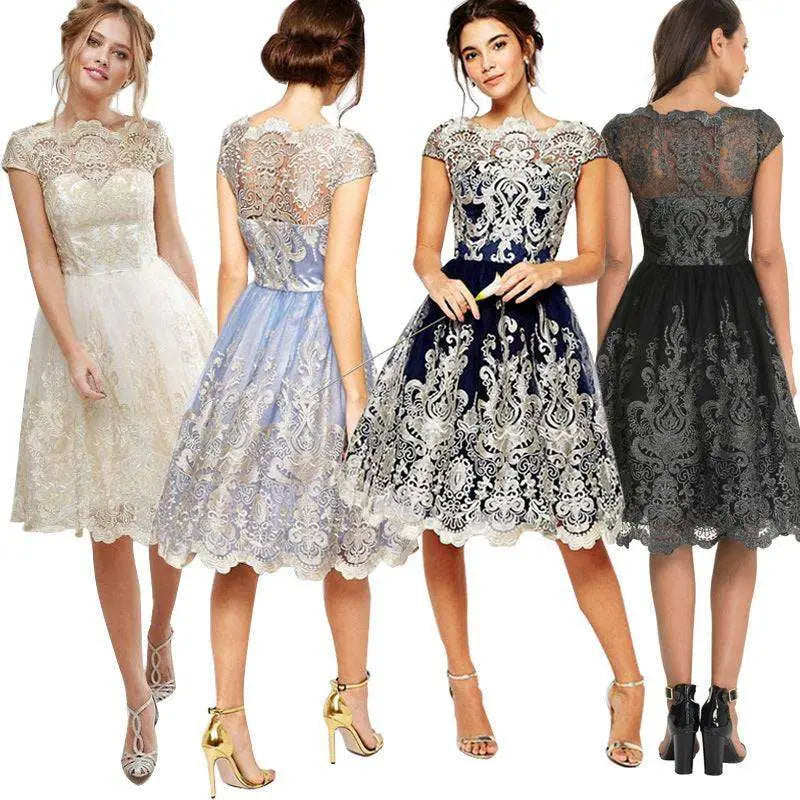 Elegant Lace Retro Mesh Dress