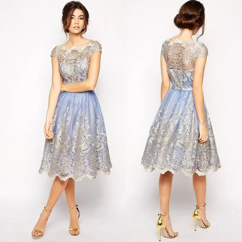 Elegant Lace Retro Mesh Dress