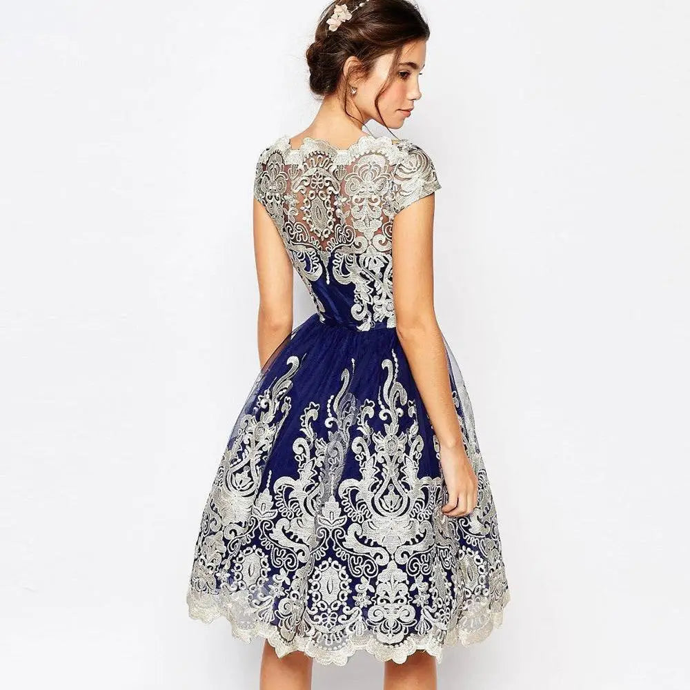 Elegant Lace Retro Mesh Dress