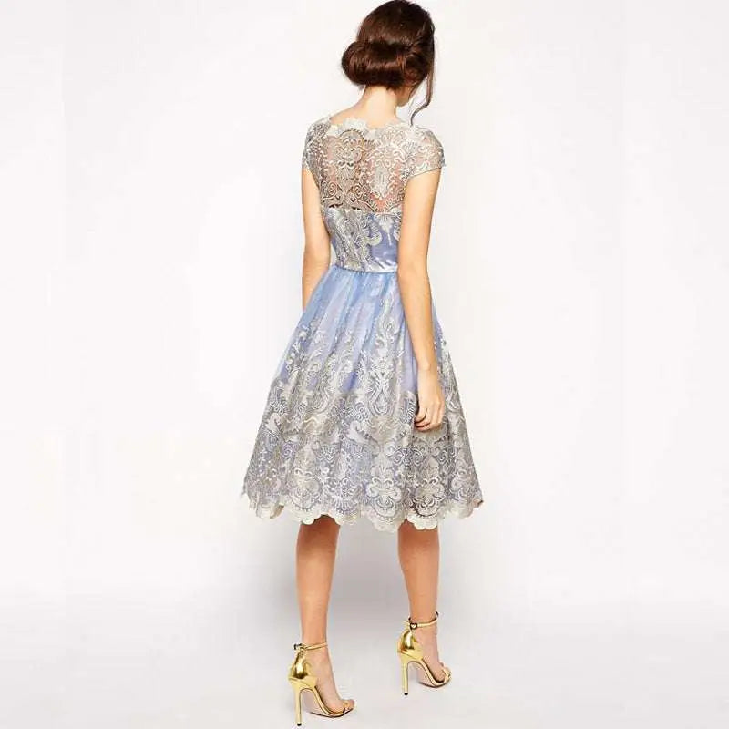 Elegant Lace Retro Mesh Dress