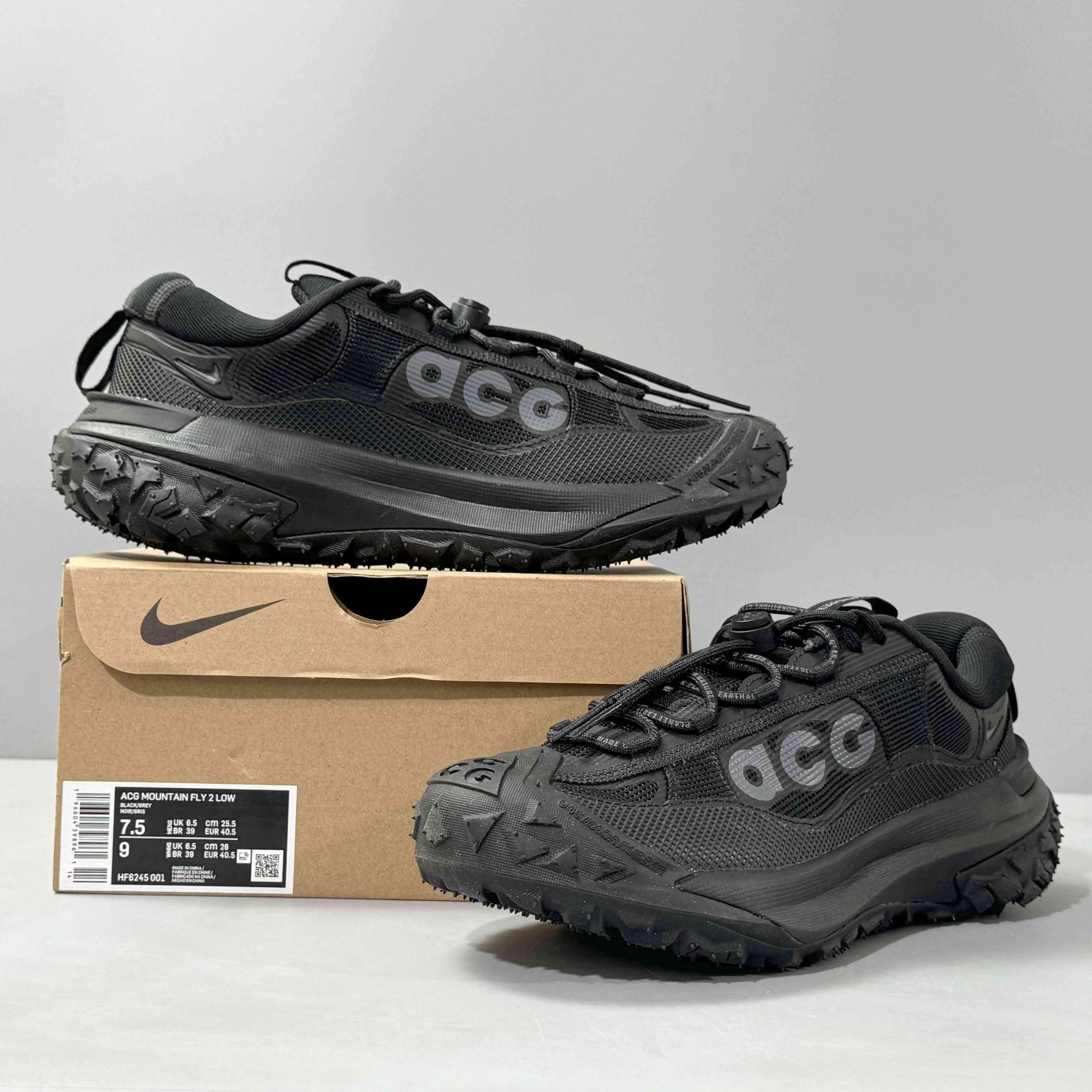 Nike ACG Mountain Fly 2 'Gore-Tex SE 'Dark Smoke Grey' Banlieue91