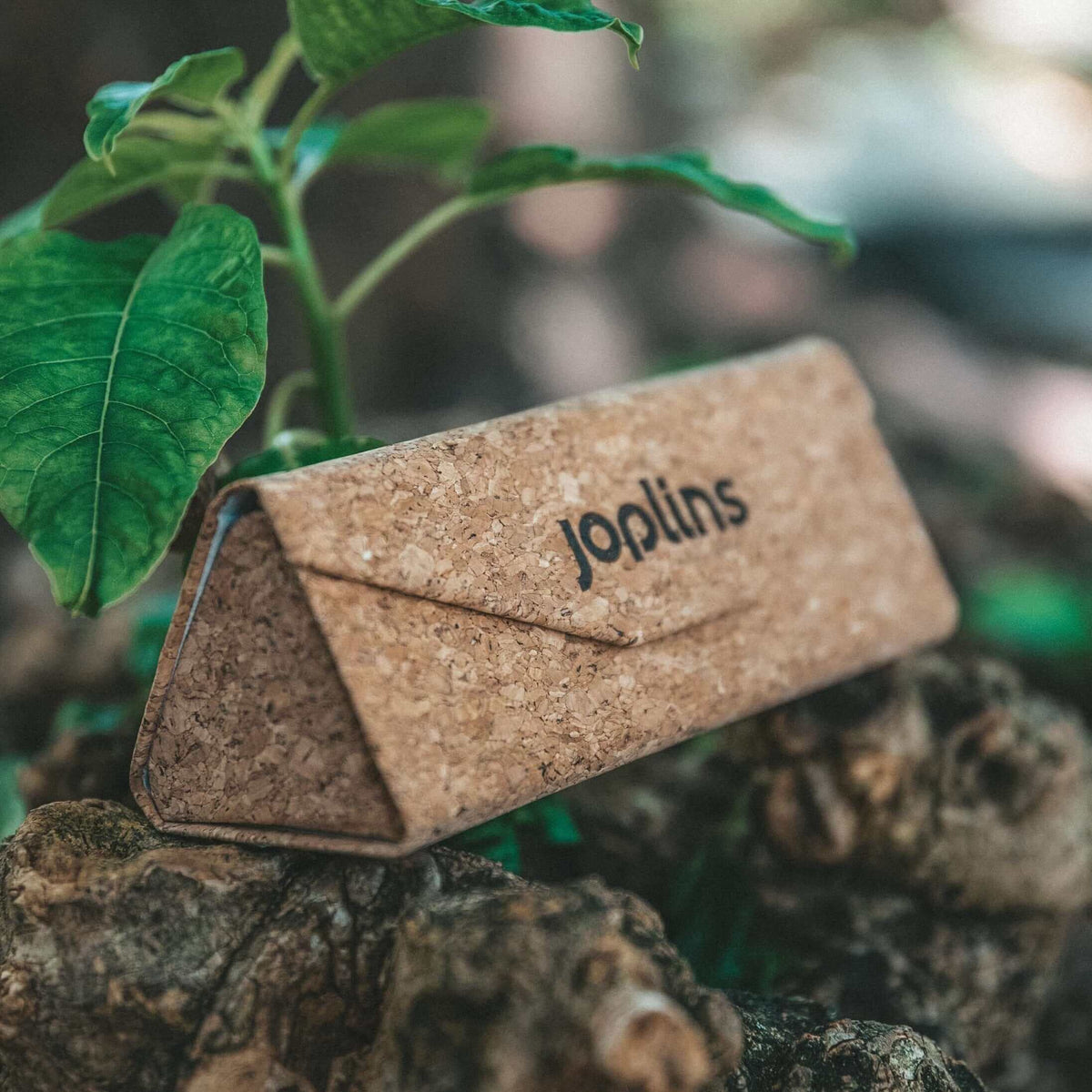 Fold & Go - Tri-fold Sunglasses Cork Case JOPLINS® | Premium Sustainable Sunglasses